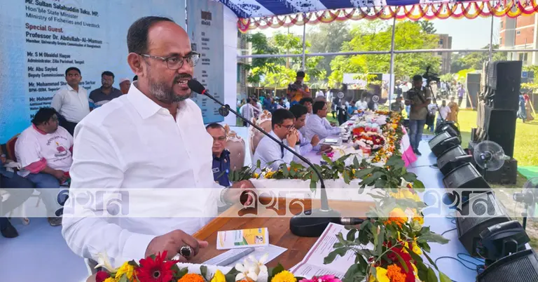 সুলতান সালাউদ্দিন টুকু